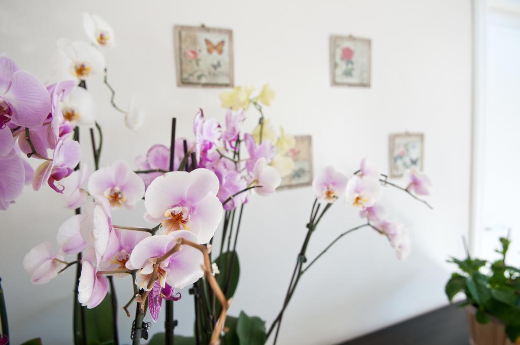 Mimi B&B Ravello Bilik gambar